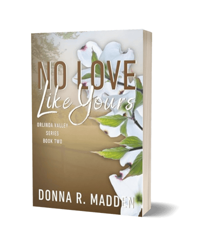No Love Like Yours No Love Like Yours by Donna R. Madden