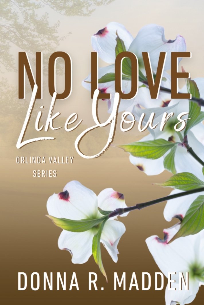 No Love Like Yours, by Donna R. Madden, small town romance author