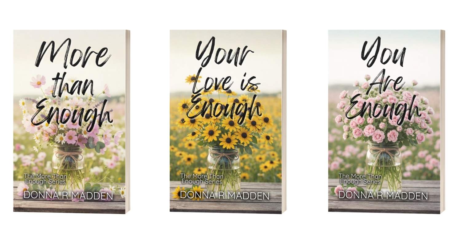 More Than Enough series by Donna R Madden